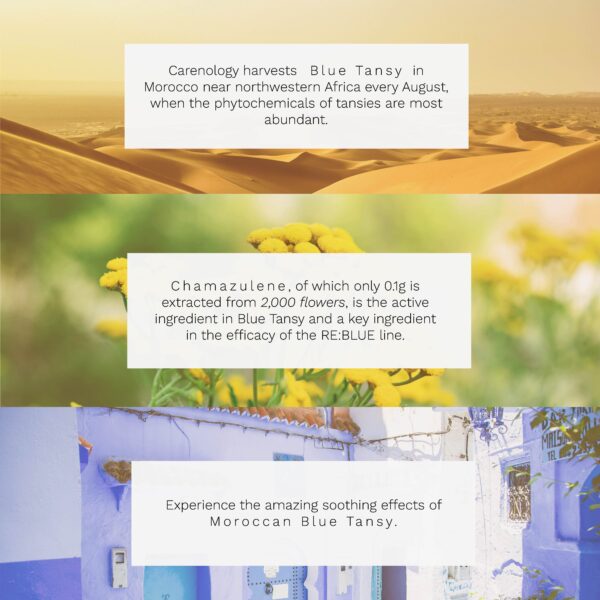 Boosting Multi Toner_J-min Boosting Multi Toner_J